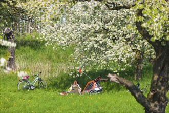 Spring in a carp tavern near Meissen