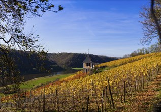 Not far from the Boselspitze, leaning towards the Elbe, is the vineyard known as the Rote Presse.