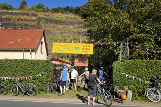 Federweissermeile in the wine village of Diesbar-Seusslitz