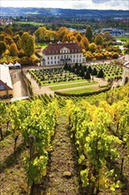 Wackerbarth Castle or Wackerbarths Ruh is a Baroque castle surrounded by vineyards in the