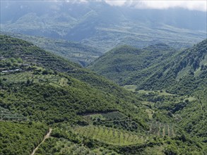 Wooded slopes and Mediterranean agriculture on the western foothills of the Tomorr Massif in Tomorr