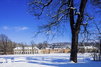 Pillnitz Palace & Park, in winter