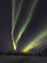 Colourful Northern Lights over Lapland