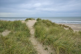 Footpath, Sand dune, Sea, Marram Grass, Clouds, Zandvoort, North Sea, North Holland, Netherlands