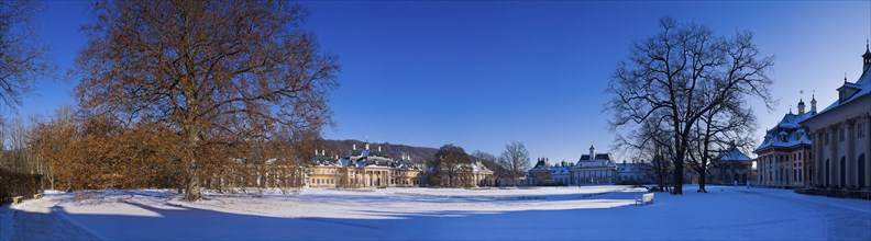 Pillnitz Palace Park in winter