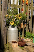 Höfgen, Still life on a farm