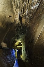 Marie Louise Stolln visitor mine in Berggiesshübel