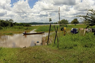 Man of caboclos tribe paddling in his canoe (Amazona) river, Amazon state, Brazil, South America