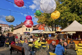 Autumn and wine festival in Altkötzschenbroda