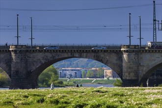 Dresden Elbe meadows on the Neustadt bank of the Elbe.view through the marienbrücke bridge to