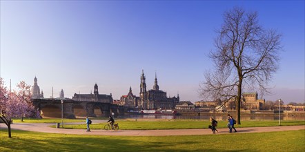 Spring on the Königsufer in Dresden