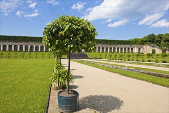 Baroque Park Grossedlitz Silent Music