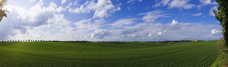 Fields near Lommatzsch