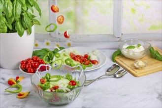 Fresh vegetables on board and plate, salad ingredients, cucumber, tomatoes, basil, pepperoni,