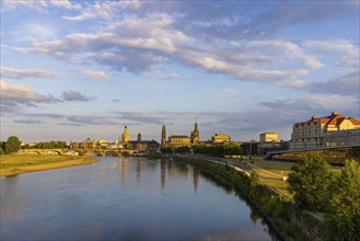 Elbe Meadows in the Old Town of Dresden with Silhouette