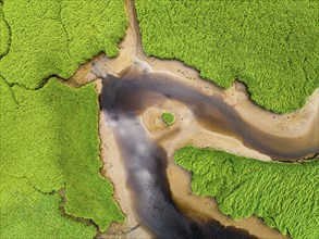 Top Down over Sharpham Meadows and Marsh over River Dart from a drone, Totnes, Devon, England,