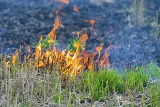 During controlled field fires, the firefighters were able to test various extinguishing methods,