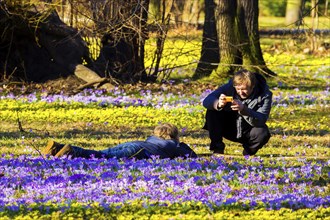 Spring bloomers in the Great Garden