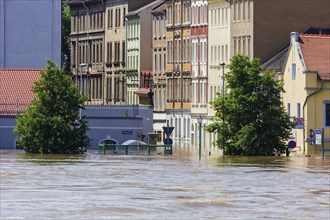 High water in Meissen at its peak