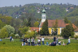 Steamship parade of the historic paddle steamers., in the background the Schifferkirche Maria am