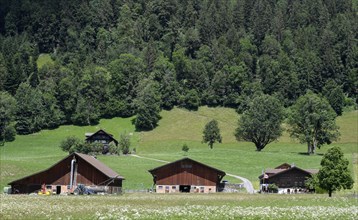 Holzhäuser Farm, Saanen, Switzerland, Europe