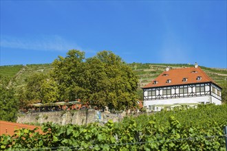 Hoflössnitz st a former Electoral Saxon, now municipal winery on the Saxon Wine Route In the 21st