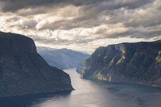 Narrow Fjord, Sognefjord, Norway, Europe