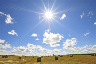 Backlight shot of straw bales on a harvested grain field in Bavaria, Germany, Europe