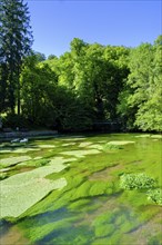 Aachquelle, Aachtopf, Radolfzeller Aach, Aach, Hegau, Baden-Württemberg, Germany, Europe