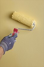 Wall is painted with yellow paint, hand with paint roller