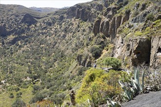 Caldera de Bandama in the Bandama Natural Park or Monumento Natural de Bandama, Las Palmas