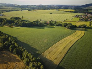 Niedercunnersdorf is a district of the municipality of Kottmar in the district of Görlitz. The