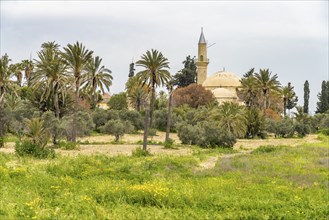 The Hala Sultan Tekke Mosque, Larnaka, Cyprus, Europe