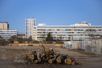 Construction sites of the Lingner area on the former Roboton site. The urban quarter Am Blüherpark