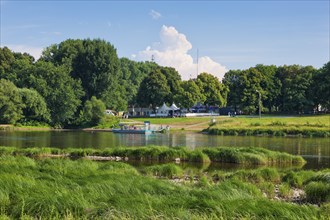 Elbe meadows in Riesa