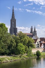 City view, Danube bank with historic old town, fishermen's quarter, cathedral, Ulm,