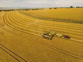 Grain harvest in a field near Babisnau on the outskirts of Dresden