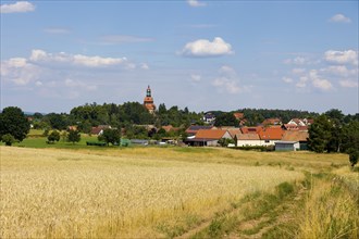 On the edge of Eisenberg, you can look across ripe cornfields to the Moritzburg Evangelical