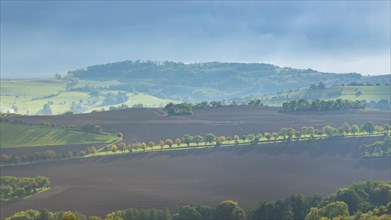 Autumnal field landscape near Possendorf in the Eastern Ore Mountains