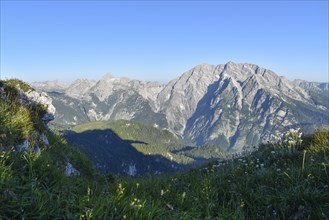 Watzmann and Grosser Hundstod in the morning light, Gotzenalm in the middle ground on the left,