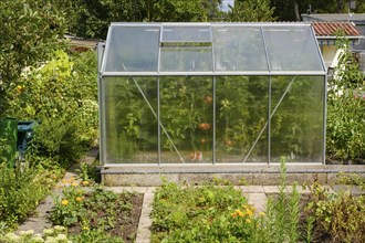 Greenhouse in allotment garden, allotment garden, North Rhine-Westphalia, Germany, Europe