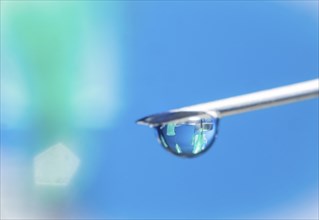 Macro image Covid vaccine, a drop of Moderna vaccine hangs on a vaccine needle