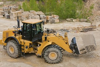 Lohmen quarry