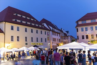 Night of Science and Business 2022. The Freiberg Night of Science and Business is a joint project