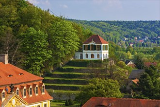 Diesbar Seusslitz, Heinrichsburg