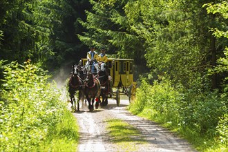 8th stagecoach meeting in Grillenburg