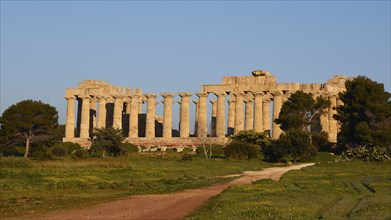 Temple F, Athena Temple, Selinunte, Archaeological Site, Southwest Sicily, Sicily, Italy, Europe