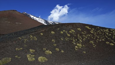 Black lava field, green low vegetation, red lava hill, snow, Crateri Silvestri, Etna, volcano,