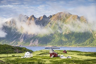 Houses by the fjord, fishing village Hovden, Langoya island, Vesteralen archipelago, Norway, Europe