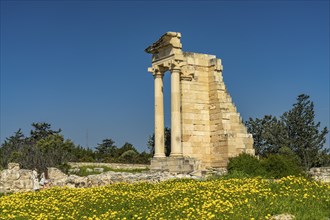 Sanctuary and temple of Apollo Hylates in the ancient city of Kourion, Episkopi, Cyprus, Europe